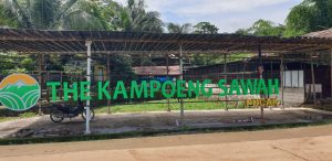 Kampoeng sawah Pucak